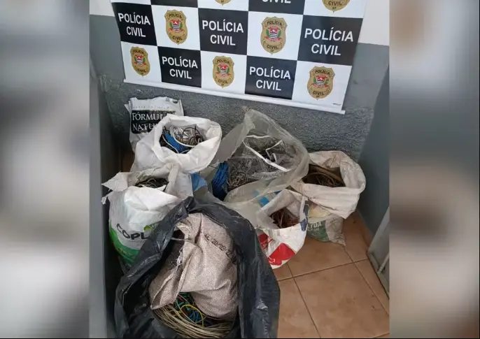 fios-de-cobre-conchas-180625