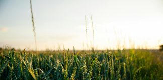 Tecnologia inova o campo e agronegócio em 2025 Tecnologia inova o campo e agronegócio em 2025