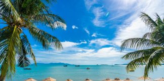 Praia de Salvador é eleita a melhor das Américas