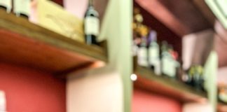 Jungle Startup terá lançamento em São Paulo e Porto Alegre