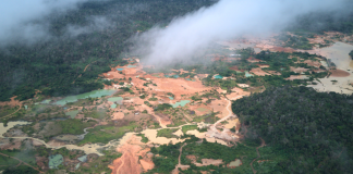 Garimpo ilegal toma Amazônia e desafia mineração responsável