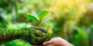 Turismo regenerativo incentiva a conservação ambiental