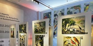 Exposição “Legado Suíço Brasileiro na Amazônia” será inaugurada em Manaus Exposição “Legado Suíço Brasileiro na Amazônia” será inaugurada em Manaus