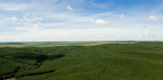 Guararapes apresenta relatório de sustentabilidade