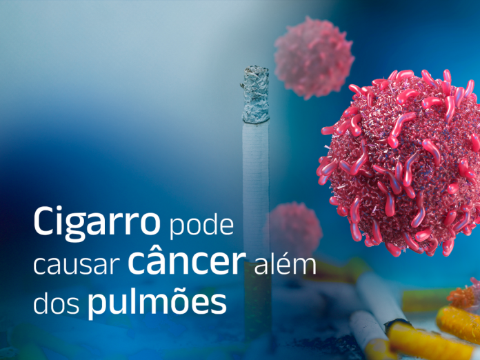 Cigarro pode causar câncer além dos pulmões Cigarro pode causar câncer além dos pulmões