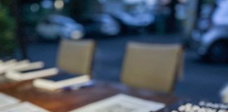 Jungle Startup marca estreia literária de Cristina Boner Jungle Startup marca estreia literária de Cristina Boner