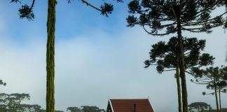 Receita Federal moderniza declaração do imposto rural em 2025 Receita Federal moderniza declaração do imposto rural em 2025