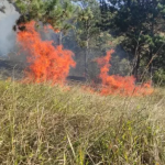 Botucatu registra incêndio florestal e Defesa Civil alerta para risco na estiagem