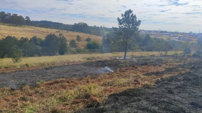 queimada-incendio-mata-170725