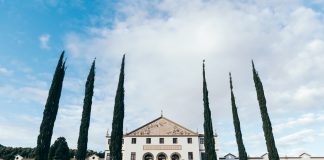 Salton completa 115 anos com tradição e inovação no setor