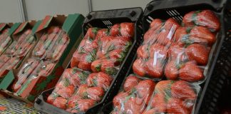 Festa de Flores e Morangos de Atibaia celebra sua 43ª edição Festa de Flores e Morangos de Atibaia celebra sua 43ª edição