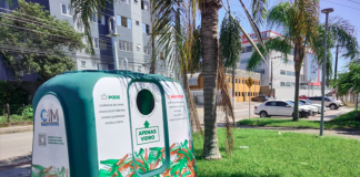 Conteinerização reduz perdas e fortalece a economia circular Conteinerização reduz perdas e fortalece a economia circular