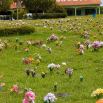 Botucatu: Cemitério Jardim tem mais de 300 túmulos sem identificação, aponta fiscalização