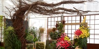 Festa de Flores e Morangos de Atibaia acontece em setembro