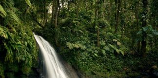 Ecoturismo combina contato com a natureza e sustentabilidade