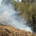 Botucatu: Defesa Civil combate fogo em vegetação próximo ao Condomínio Chácara Santo Antônio