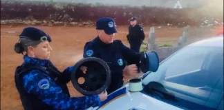 Operação Linha Pura: GCM de Botucatu apreende materiais cortantes usados em pipas por adultos