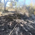 Botucatu: Bombeiros combatem incêndio em vegetação entre bairros Monte Mor e Itamaraty