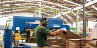 Indústria de celulose avança sob pressão por sustentabilidade