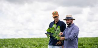 Bom Jesus publica segundo Relatório de Sustentabilidade Bom Jesus publica segundo Relatório de Sustentabilidade