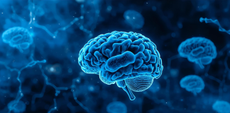 Neurociência reforça gestão de equipes em ambientes de saúde