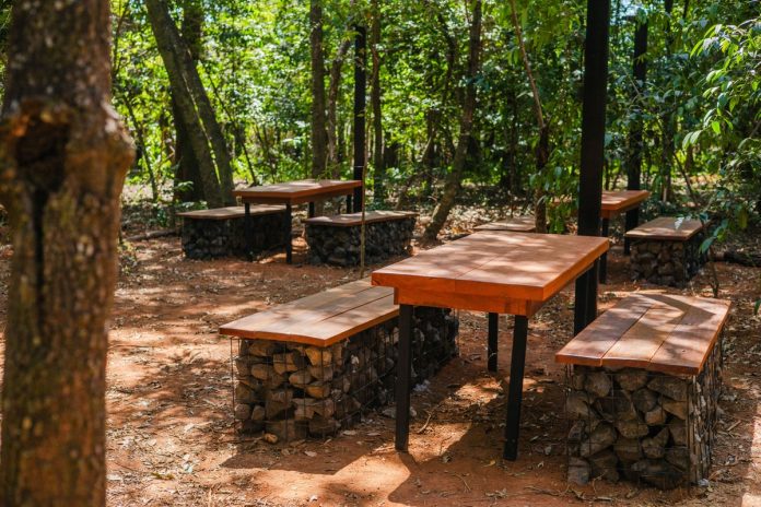 Uberlândia ganha primeiro parque dentro de floresta preservada