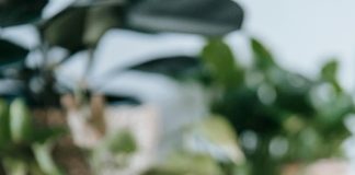 Seminário FACPCS debate mudanças climáticas e impactos na demonstração contábil