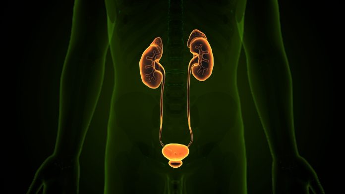 Tecnologia transforma tratamentos na urologia moderna