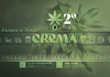 Congresso Crema debate cannabis em Santos/SP Congresso Crema debate cannabis em Santos/SP