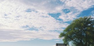 Assistência funeral é opção cobertura dentro do seguro de vida