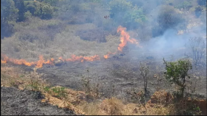 incendio-fogo-mata-botucatu-100925