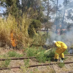 Incêndio atinge área abaixo do Elevado Bento Natel em Botucatu