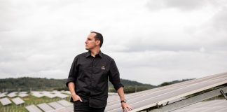 Energia solar cresce como ativo sustentável e lucrativo Energia solar cresce como ativo sustentável e lucrativo