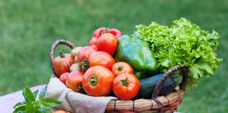 Orgânicos ganham destaque com a chegada da primavera Orgânicos ganham destaque com a chegada da primavera