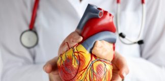 Doenças cardiovasculares lideram mortes no Brasil Doenças cardiovasculares lideram mortes no Brasil