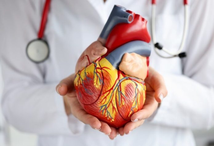 Doenças cardiovasculares lideram mortes no Brasil Doenças cardiovasculares lideram mortes no Brasil