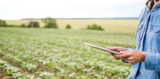 Agro em transformação: tecnologias devem redefinir o campo Agro em transformação: tecnologias devem redefinir o campo