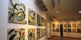 Curadora do legado de Goeldi retorna à Amazônia para a COP30 Curadora do legado de Goeldi retorna à Amazônia para a COP30