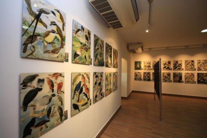 Curadora do legado de Goeldi retorna à Amazônia para a COP30 Curadora do legado de Goeldi retorna à Amazônia para a COP30