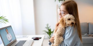 Telemedicina veterinária avança e muda rotina de atendimento Telemedicina veterinária avança e muda rotina de atendimento