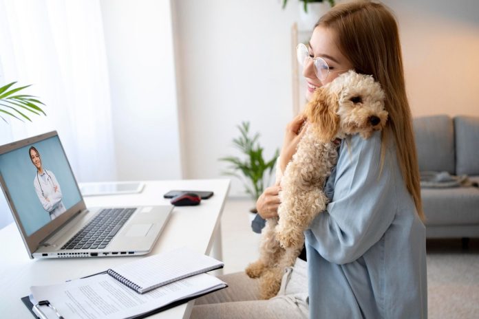 Telemedicina veterinária avança e muda rotina de atendimento Telemedicina veterinária avança e muda rotina de atendimento