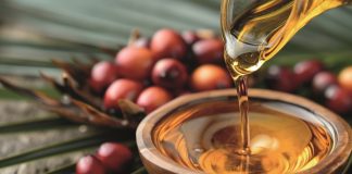 Lubrificação industrial impacta na indústria do óleo de palma Lubrificação industrial impacta na indústria do óleo de palma