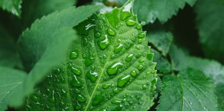 Alta no mercado de fertilizantes favorece indústria química Alta no mercado de fertilizantes favorece indústria química