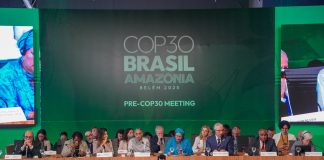 COP30 pode marcar virada à ação climática, diz especialista COP30 pode marcar virada à ação climática, diz especialista