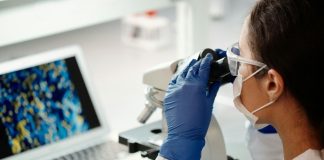 Cannabis medicinal apresenta avanço na medicina de precisão Cannabis medicinal apresenta avanço na medicina de precisão