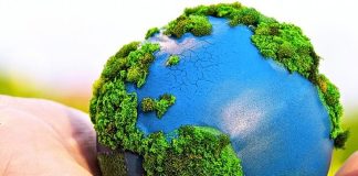 Desenvolvimento sustentável exige compromisso com as futuras gerações Desenvolvimento sustentável exige compromisso com as futuras gerações