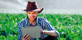 Tecnologia brasileira impulsiona a inovação no agronegócio Tecnologia brasileira impulsiona a inovação no agronegócio