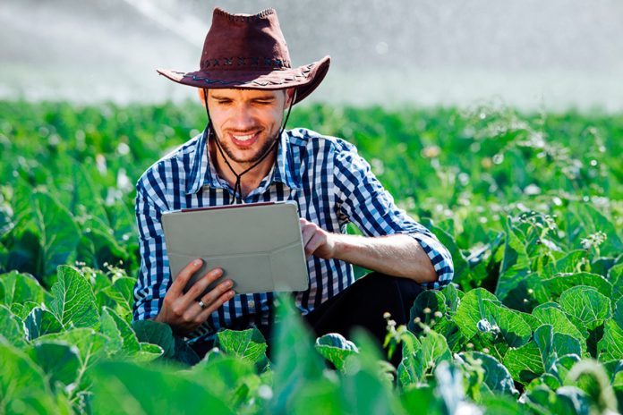 Tecnologia brasileira impulsiona a inovação no agronegócio
