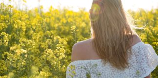 Sazonalidade e datas comemorativas definem tendências e consumo das flores Sazonalidade e datas comemorativas definem tendências e consumo das flores
