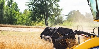 Agronegócio impulsiona alta no consórcio agrícola Agronegócio impulsiona alta no consórcio agrícola